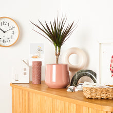 Load image into Gallery viewer, D78885
