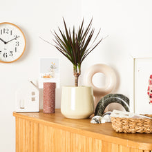 Load image into Gallery viewer, D9D9C4
