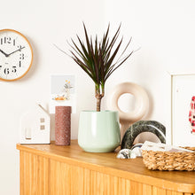 Load image into Gallery viewer, B4D2BF
