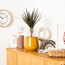 Load image into Gallery viewer, D3A752
