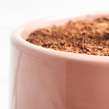 Load image into Gallery viewer, D78885
