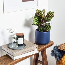 Load image into Gallery viewer, 1E2F4F
