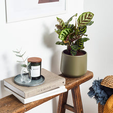 Load image into Gallery viewer, 52564E
