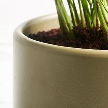 Load image into Gallery viewer, 52564E
