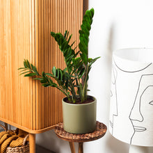 Load image into Gallery viewer, 363834
