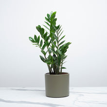 Load image into Gallery viewer, 363834
