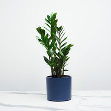 Load image into Gallery viewer, 1E2F4F
