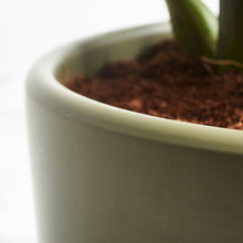 Load image into Gallery viewer, 363834
