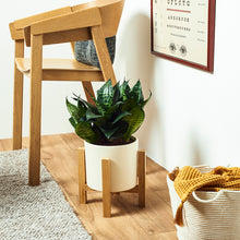 Load image into Gallery viewer, F6F0E0
