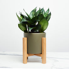 Load image into Gallery viewer, 363834
