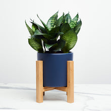 Load image into Gallery viewer, 1E2F4F
