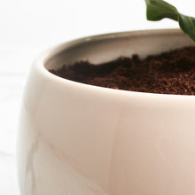 Load image into Gallery viewer, 9E9385
