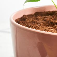 Load image into Gallery viewer, D78885
