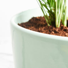 Load image into Gallery viewer, B4D2BF
